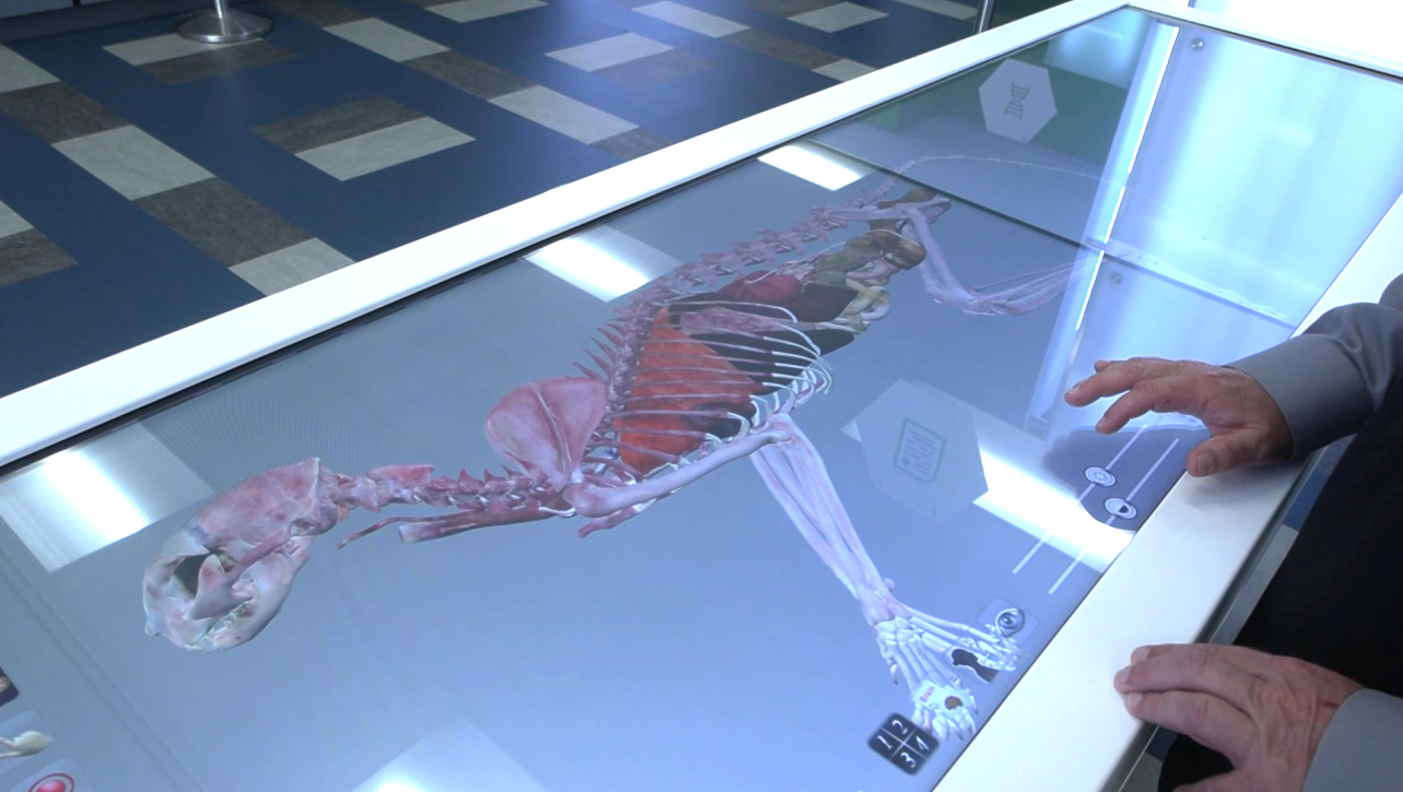 Lima Senior introduces virtual dissection table through Mercy Health partnership